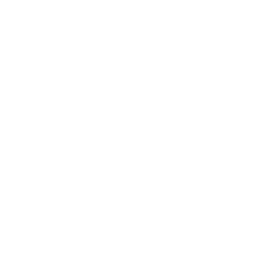 ce logo Lexington