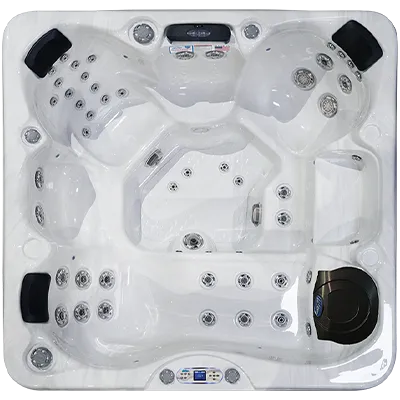 Avalon EC-849L hot tubs for sale in Lexington