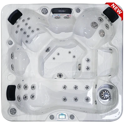 Avalon-X EC-849LX hot tubs for sale in Lexington