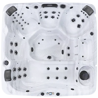 Avalon EC-867L hot tubs for sale in Lexington